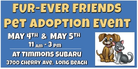 Pet Adoption Event at Timmons Subaru